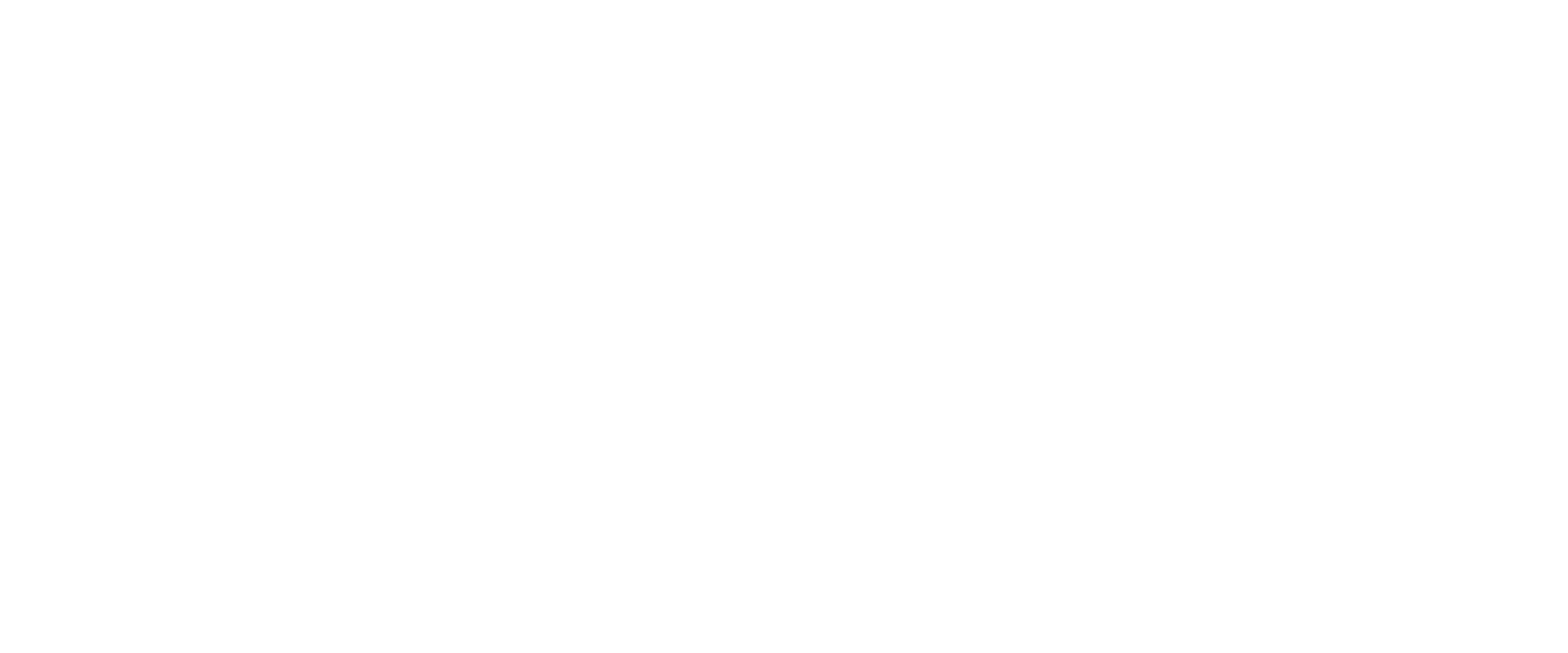 CapCut